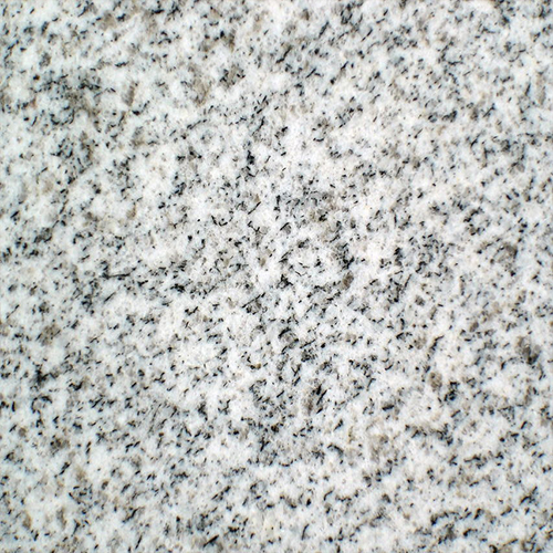 山东白麻8864